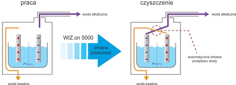 WIZ500